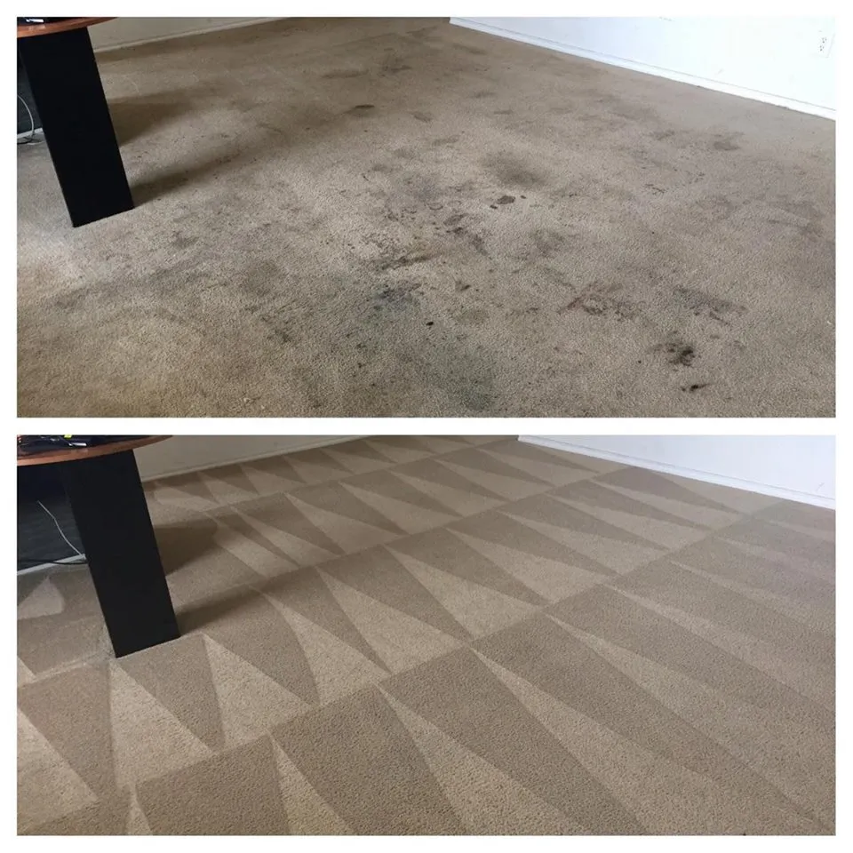 Before-and-after carpet cleaning in a downtown Las Vegas living room, heavy soiling fully removed