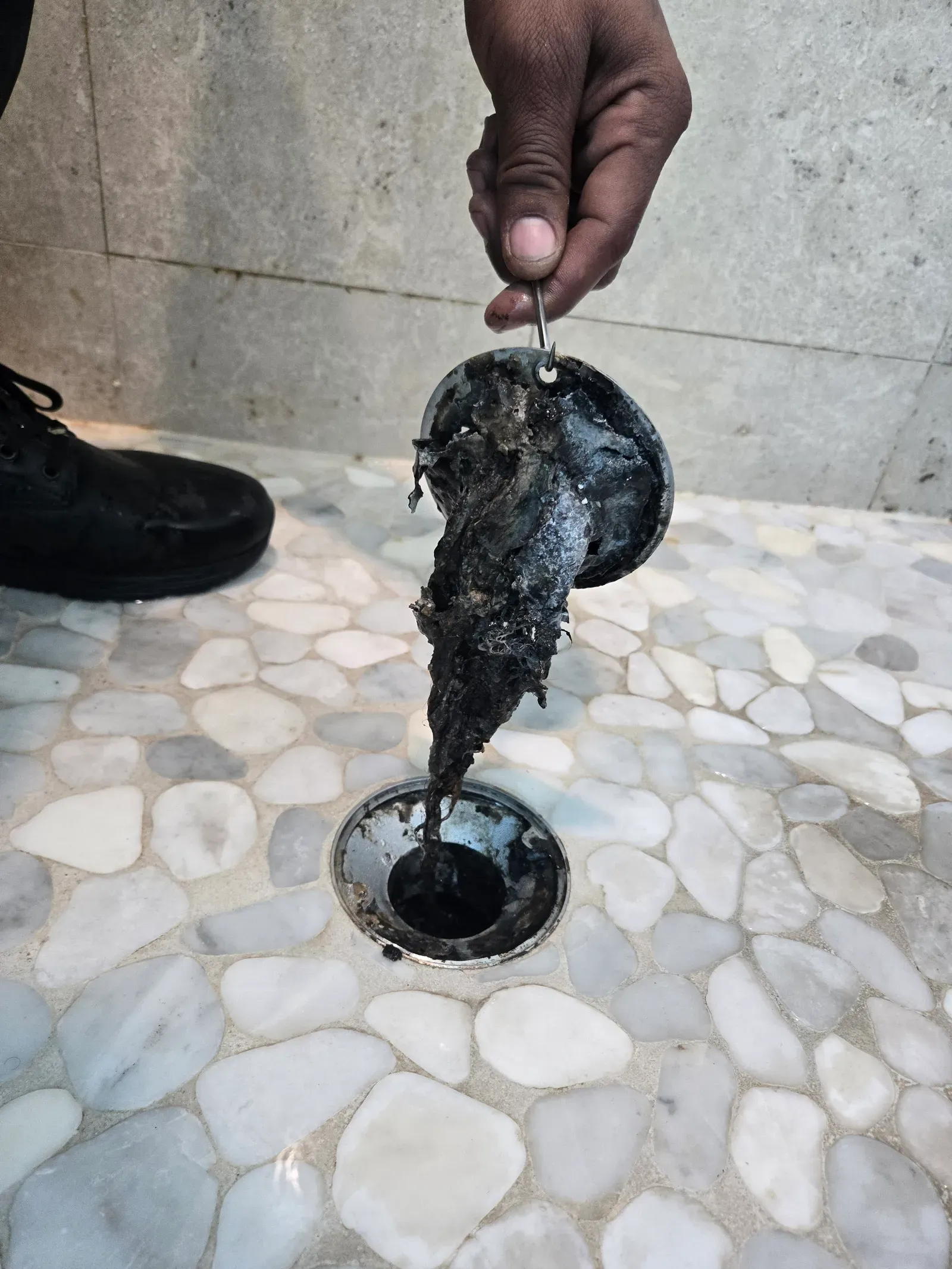 Technician pulling built-up debris from a shower drain on a white pebble stone shower floor in Las Vegas